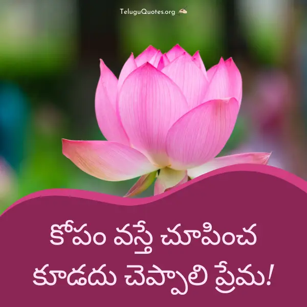 Emotional heart touching love quotes in telugu
